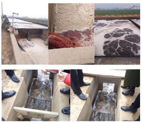 3000 L/uur Runder, kippen, pluimvee, halal, vleesverwerking, mobiele afvalwaterzuiveringsinstallatie voor slachthuizen