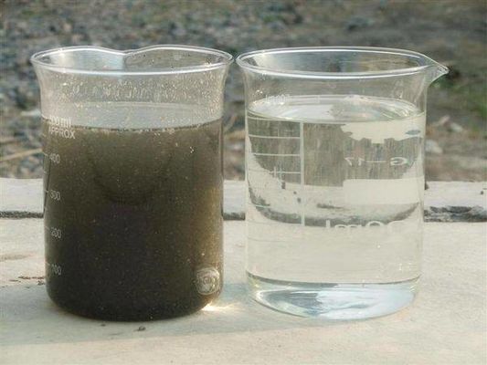 3000L/uur MBR MBBR A2O Biofilter voor de behandeling van afvalwater van slachtplaatsen